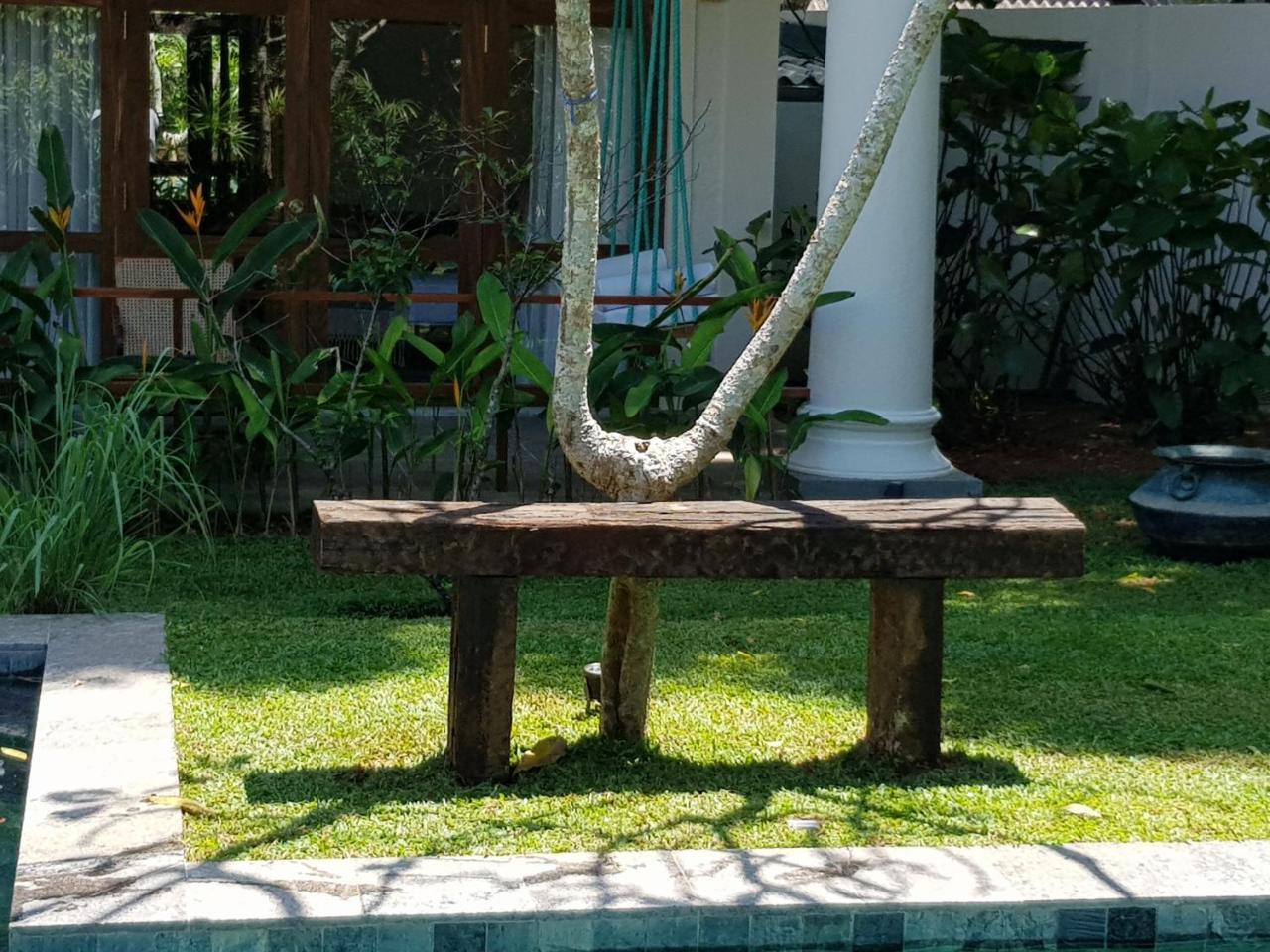 Hotel Bilin Tree House Galle Exteriér fotografie