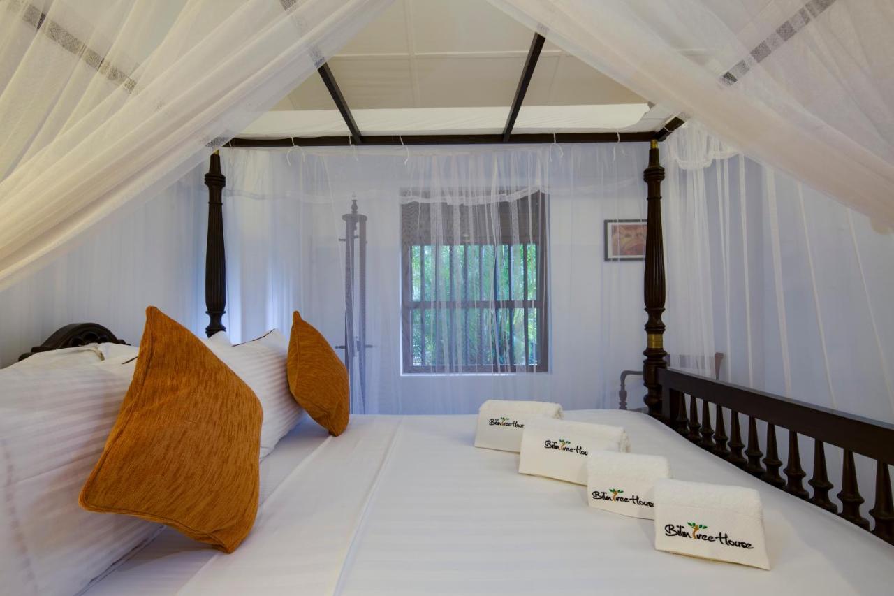 Hotel Bilin Tree House Galle Exteriér fotografie