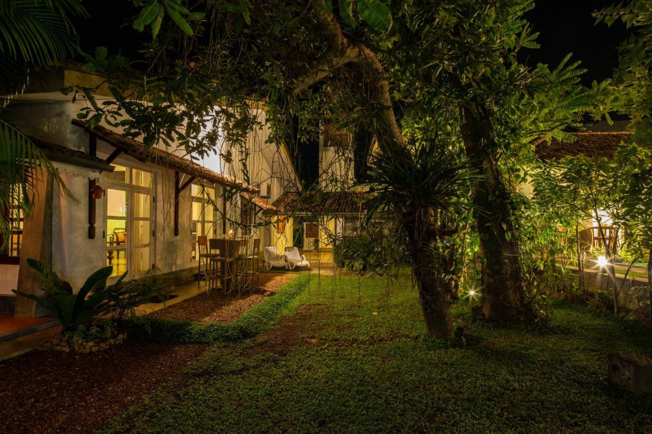 Hotel Bilin Tree House Galle Exteriér fotografie