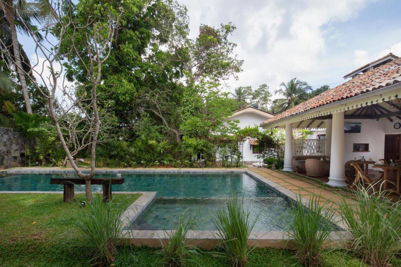 Hotel Bilin Tree House Galle Exteriér fotografie