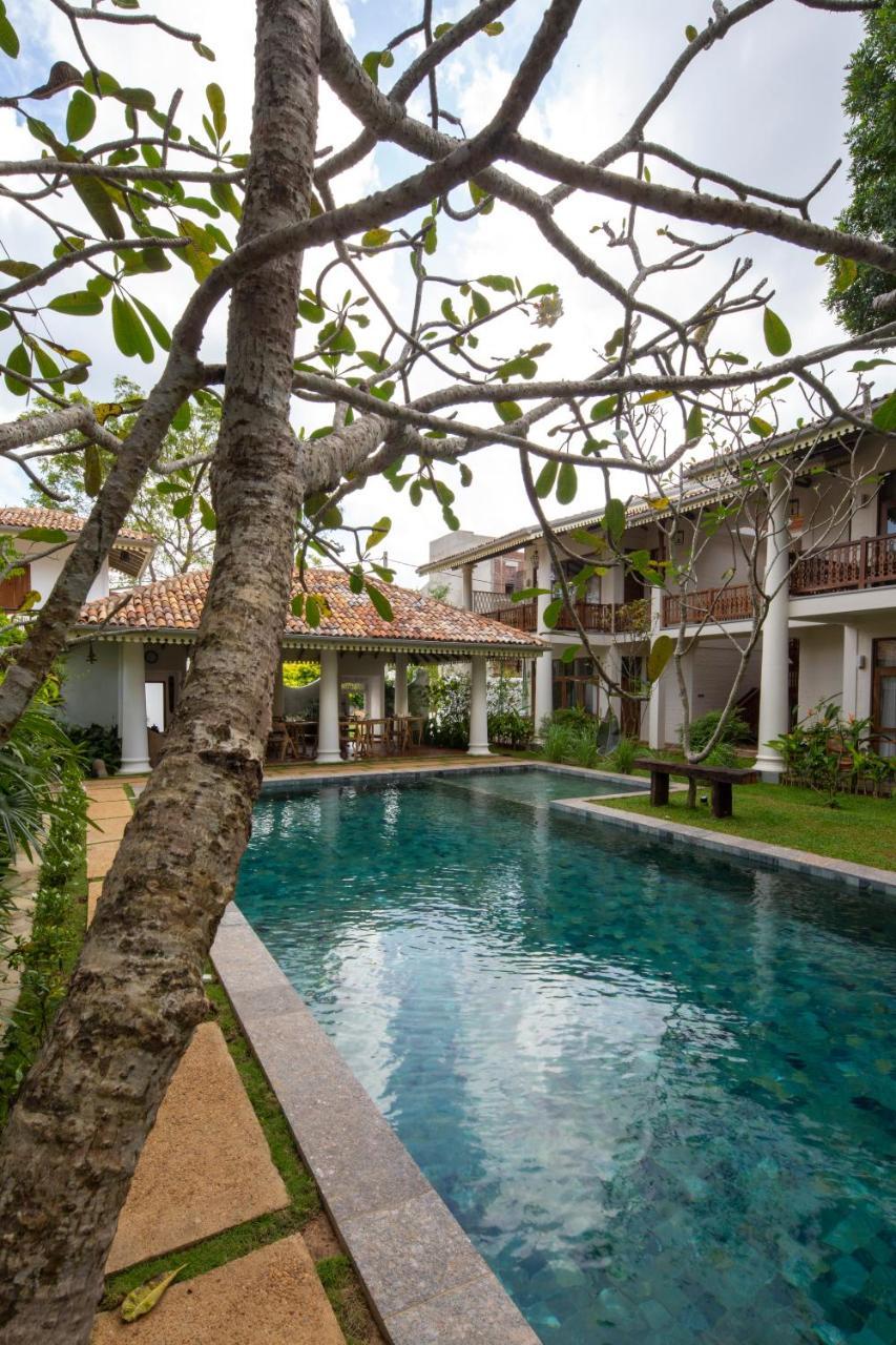 Hotel Bilin Tree House Galle Exteriér fotografie